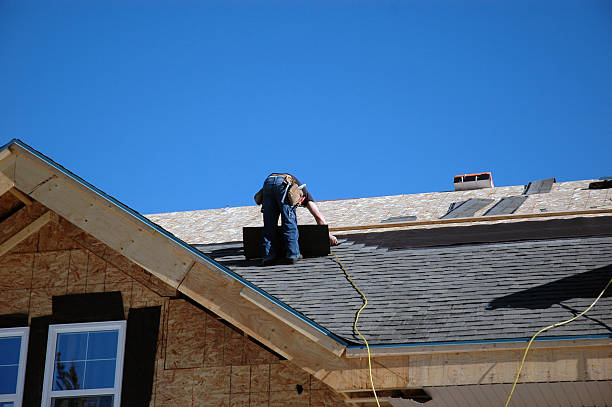 Best Roof Gutter Cleaning  in Robersonville, NC