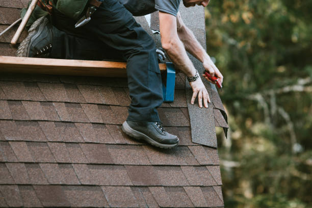 Best Gutter Installation and Roofing  in Robersonville, NC