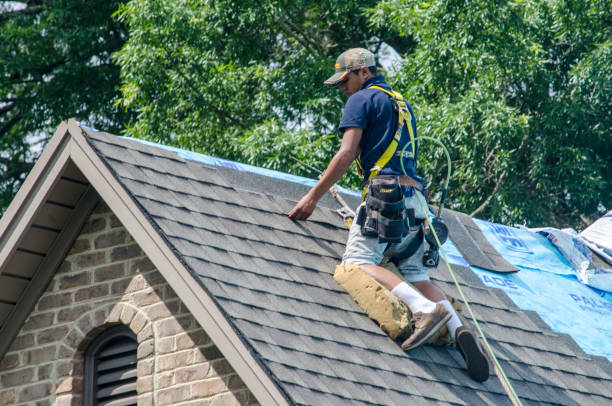 Roof Waterproofing Services in Robersonville, NC